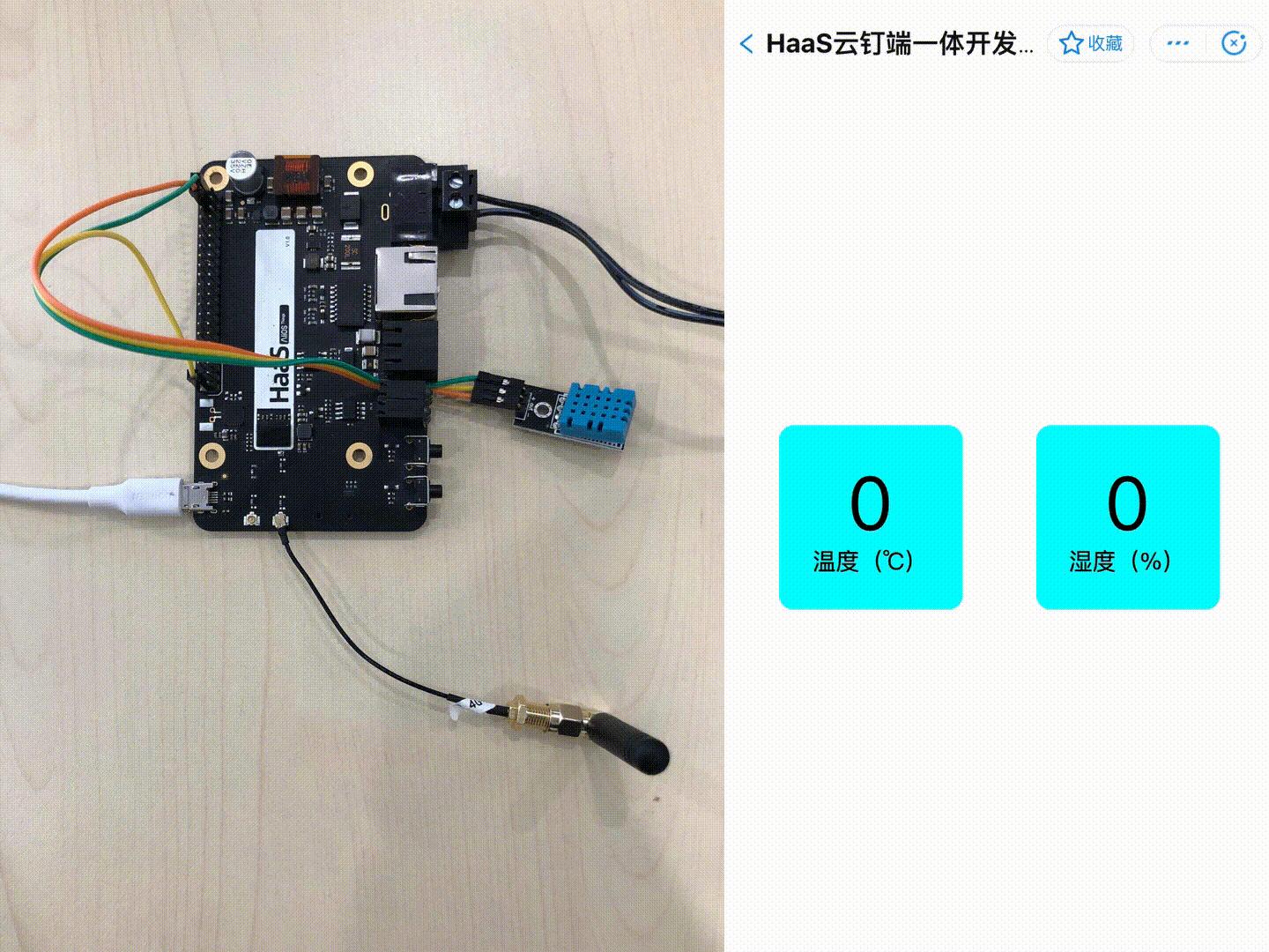 一步步打造专业网站：新手到专家的建站技巧 (打造一支专业化队伍)