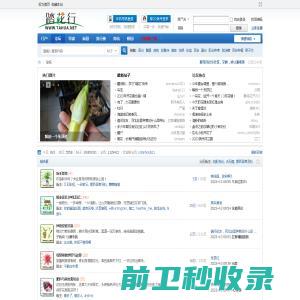 在线JSON校验格式化工具（Be