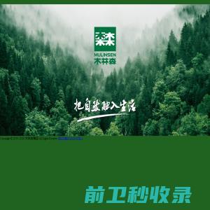 石狮市木林森集团有限公司