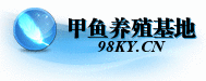 甲鱼,野生甲鱼,甲鱼蛋,甲鱼苗,甲鱼养殖基地,批发甲鱼,野生甲鱼,甲鱼价格,甲鱼养殖