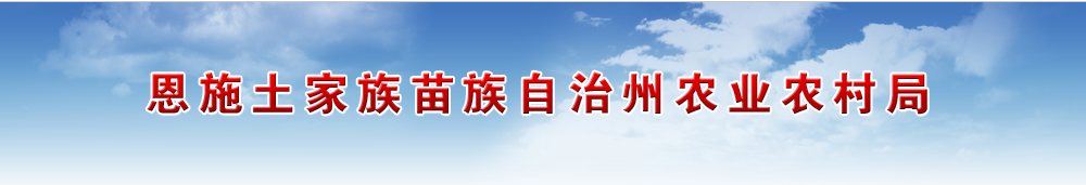 恩施土家族苗族自治州农业农村局