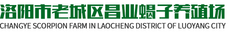 蝎子养殖,洛阳蝎子养殖,蝎子养殖厂,洛阳蝎子养殖厂,百信蝎业,洛阳市老城区昌业蝎子养殖场,洛阳蝎子,蝎子养殖技术,蝎子养殖方法,蝎子的价值,蝎子的功效等
