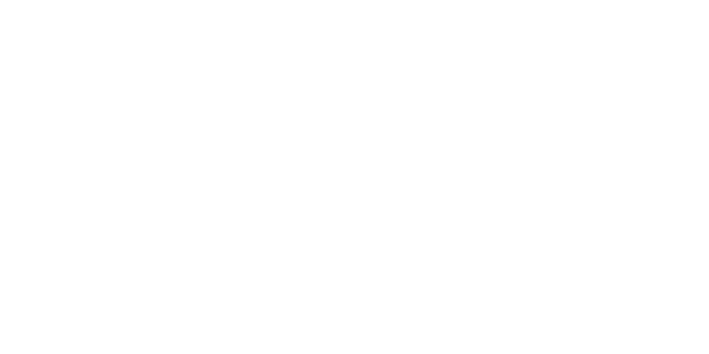 新摘